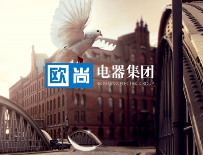 欧尚电器集团