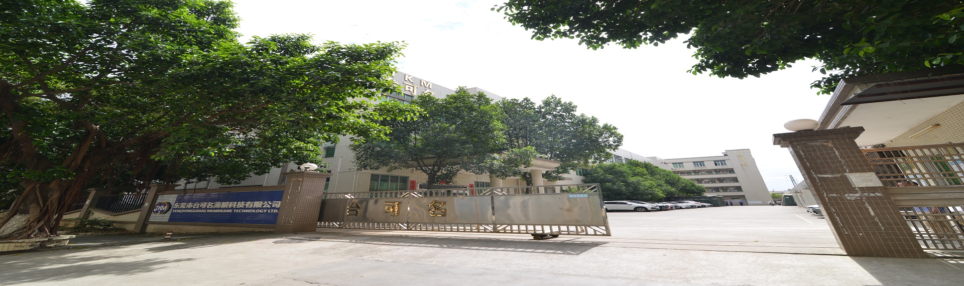 图片展示