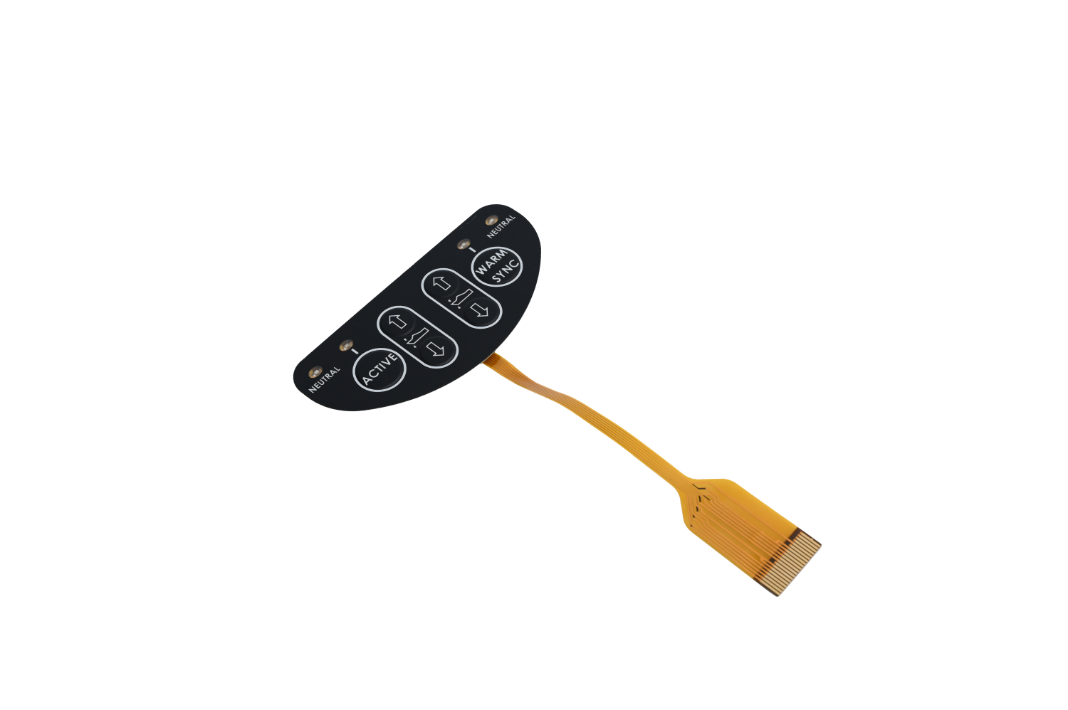 FPC + Membrane Switch Keypad