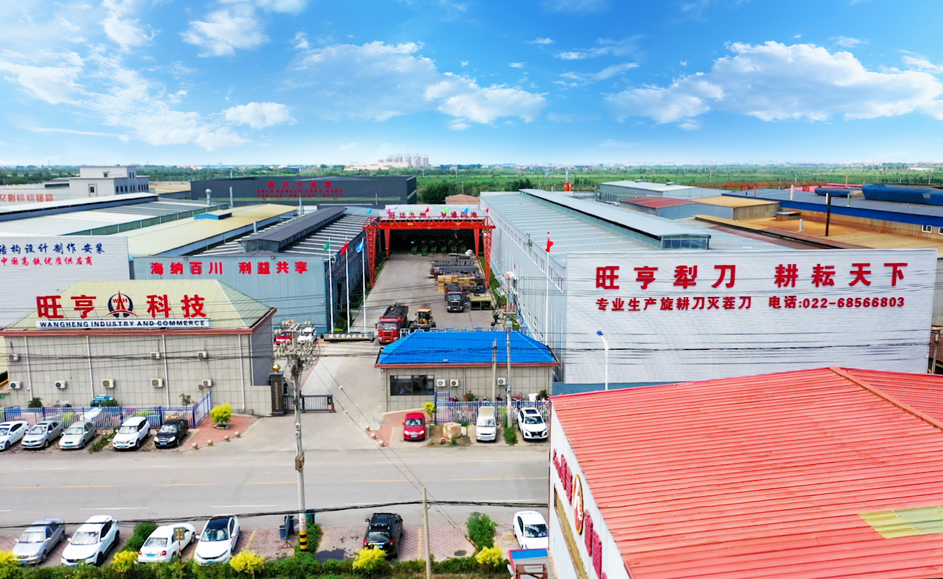 图片展示