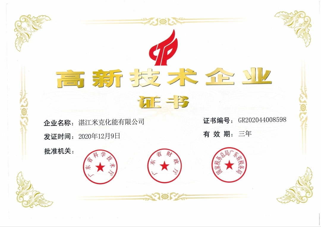 高新技术企业 (2020)