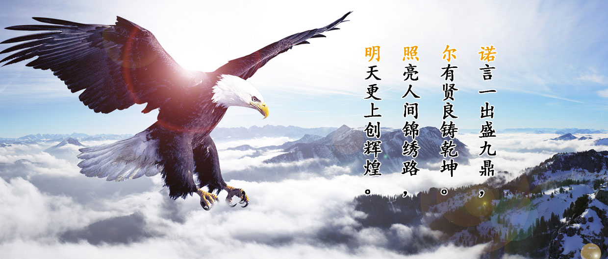 图片展示