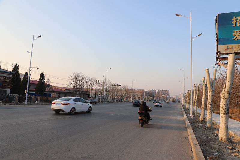 Street lamp case