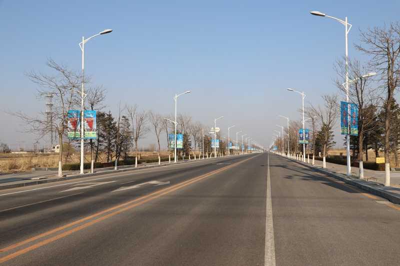Case Study of EMC Street Lamp Renovation Project in Zhoukou, Henan Province