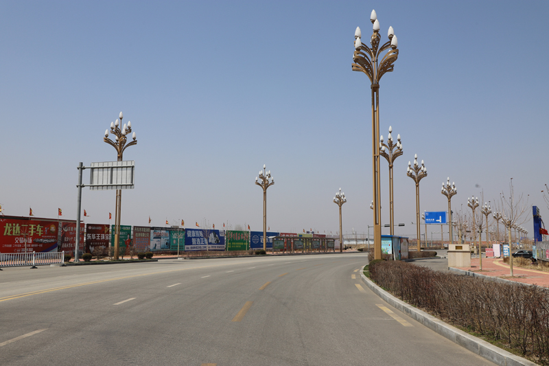 The installation case of magnolia lamps on North Customs Road in Dashiqiao