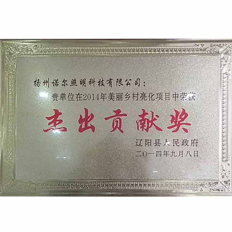 Outstanding Contribution Award