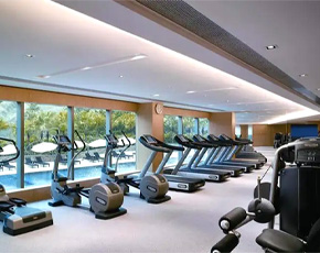 Gymnasium