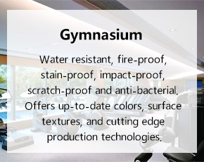 Gymnasium
