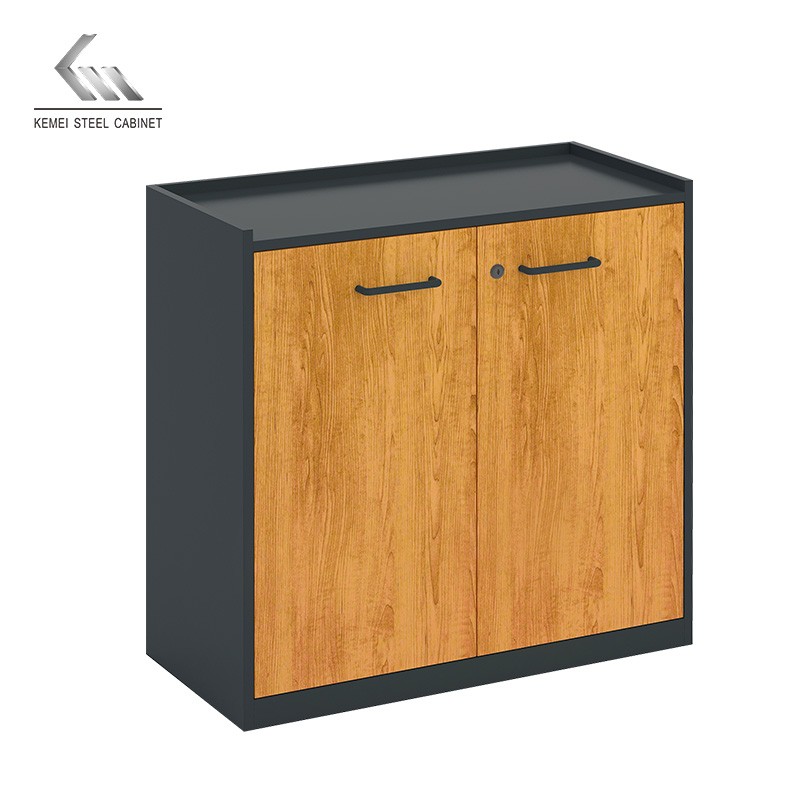 Factory Metal Short Storage Cabinet 2 Door Office Filing Cabinet