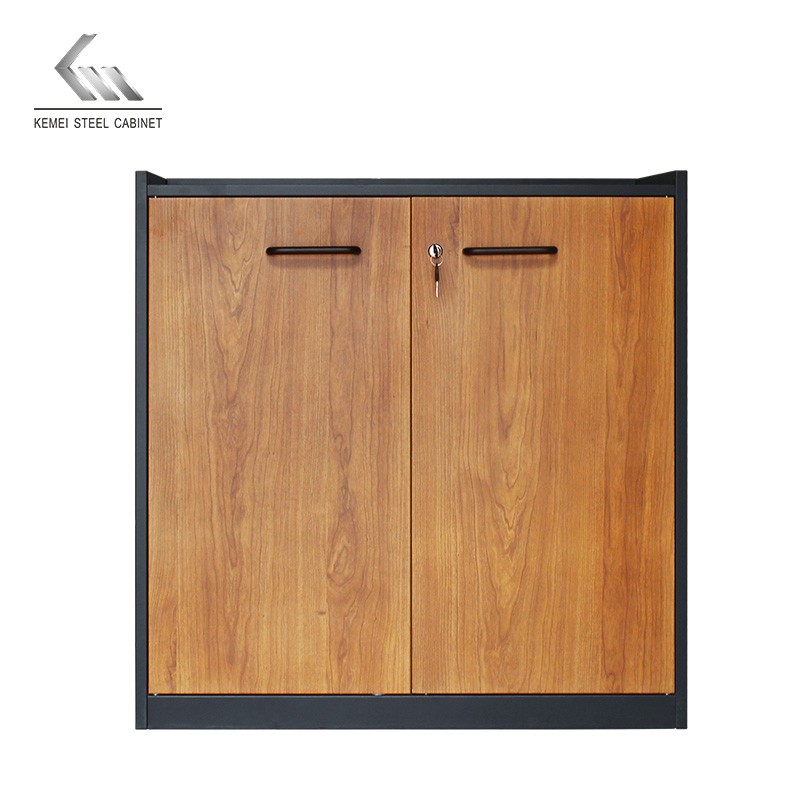 Factory Metal Short Storage Cabinet 2 Door Office Filing Cabinet