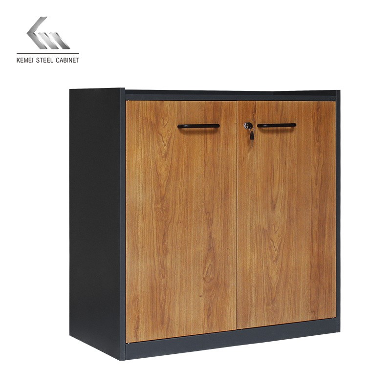 Factory Metal Short Storage Cabinet 2 Door Office Filing Cabinet