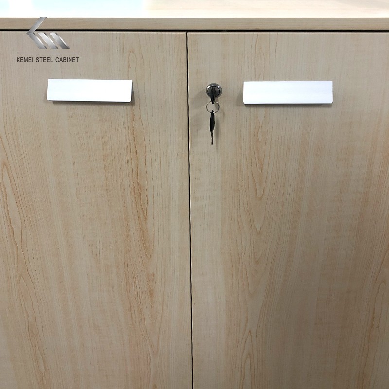 Popular Steel Filing Cabinet Office Swing Door Metal Storage Cupboard