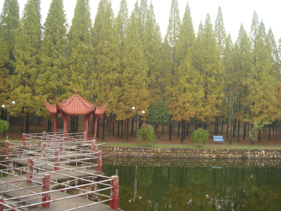 DSC01065(1)