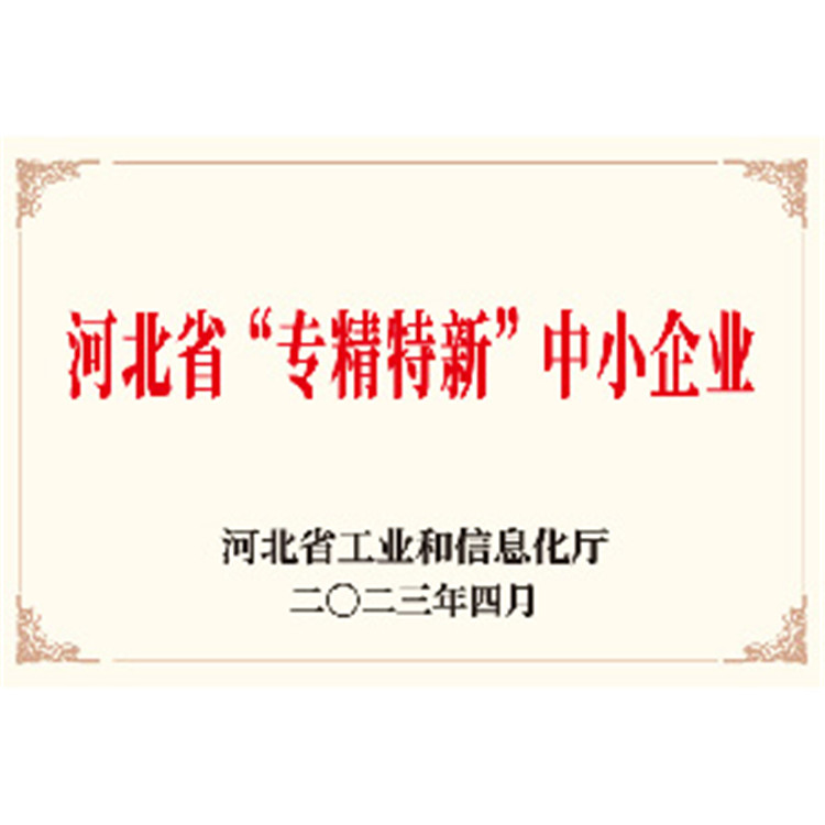 SMEs in Specialized New Sectors