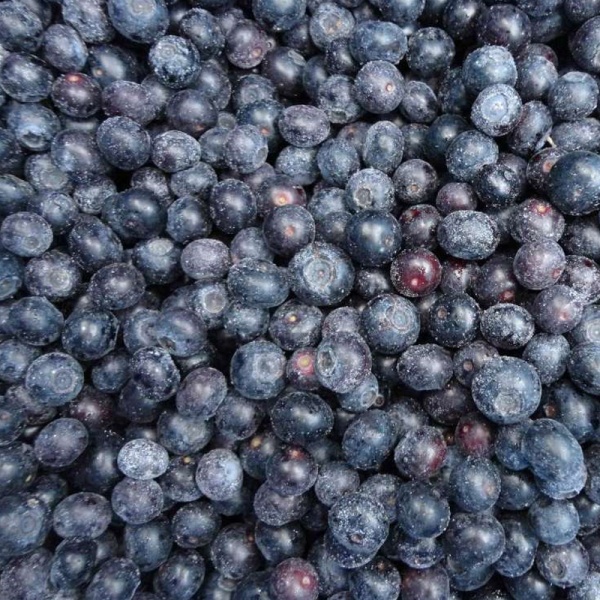 Frozen Blueberries