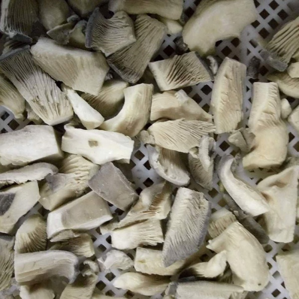 Frozen Oyster Mushroom