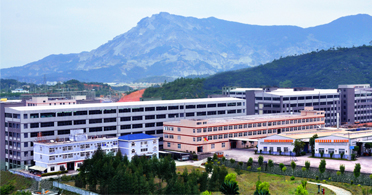 Company Profile
