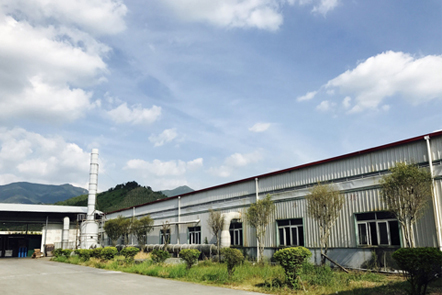 图片展示