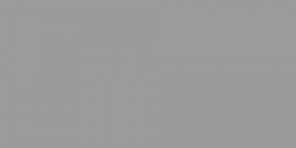 Pure Grey  BSA1220T