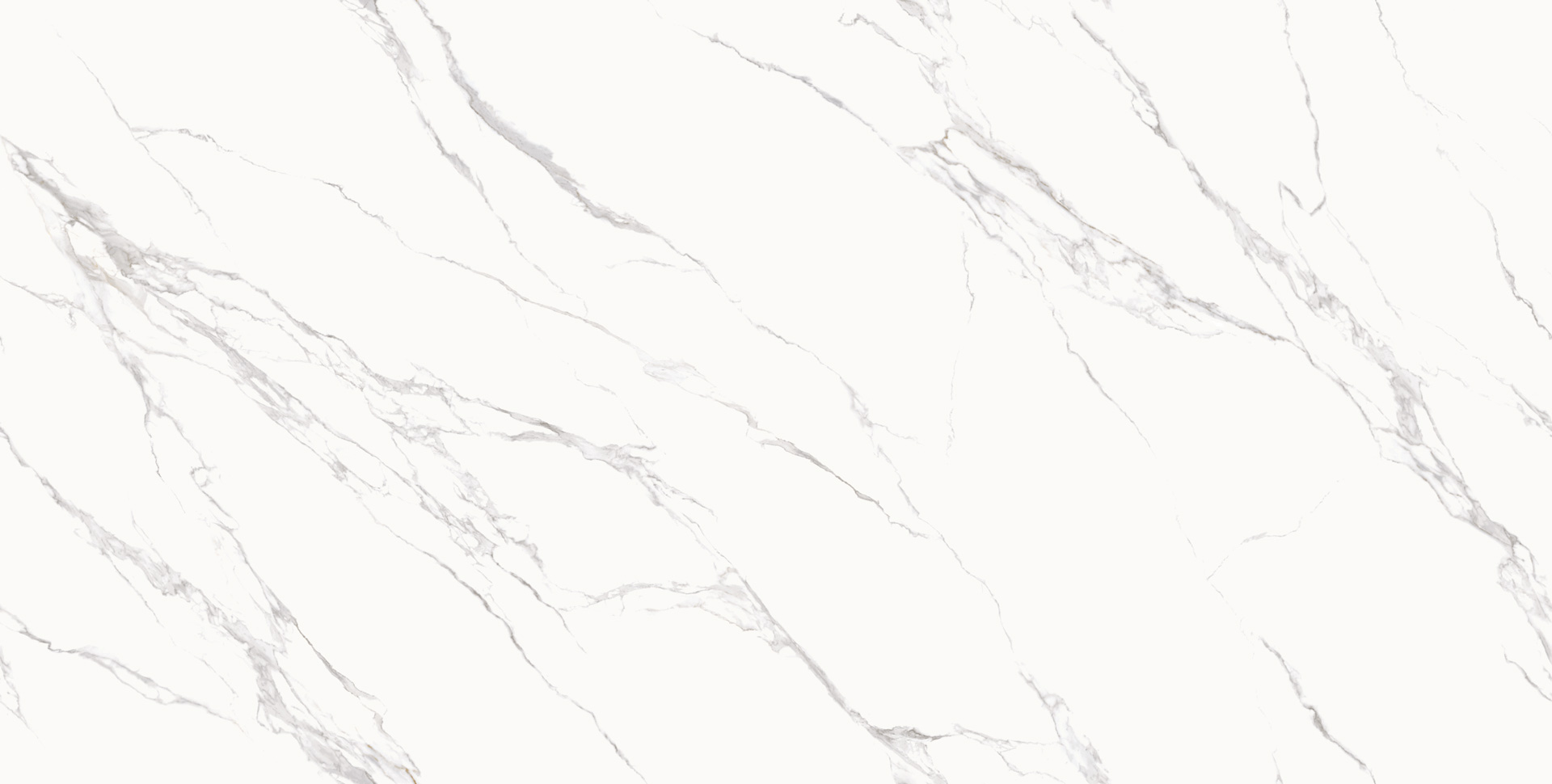 Iceberg white  BSB1262T