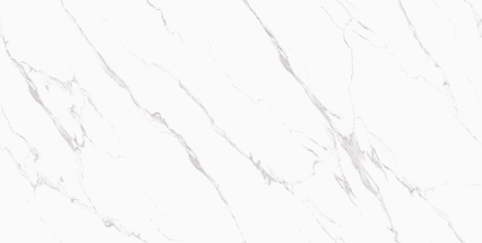 Snow white  BSB1263T