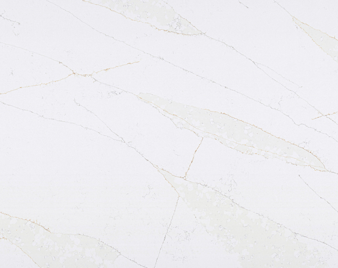 Dewy Leaf  ZV71105