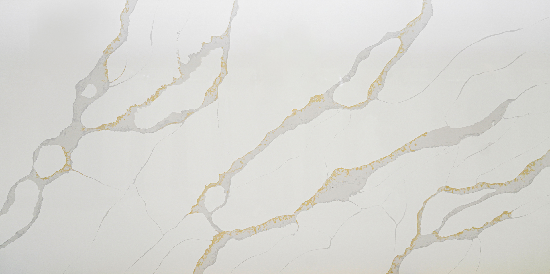 Golden Verse  ZV8136