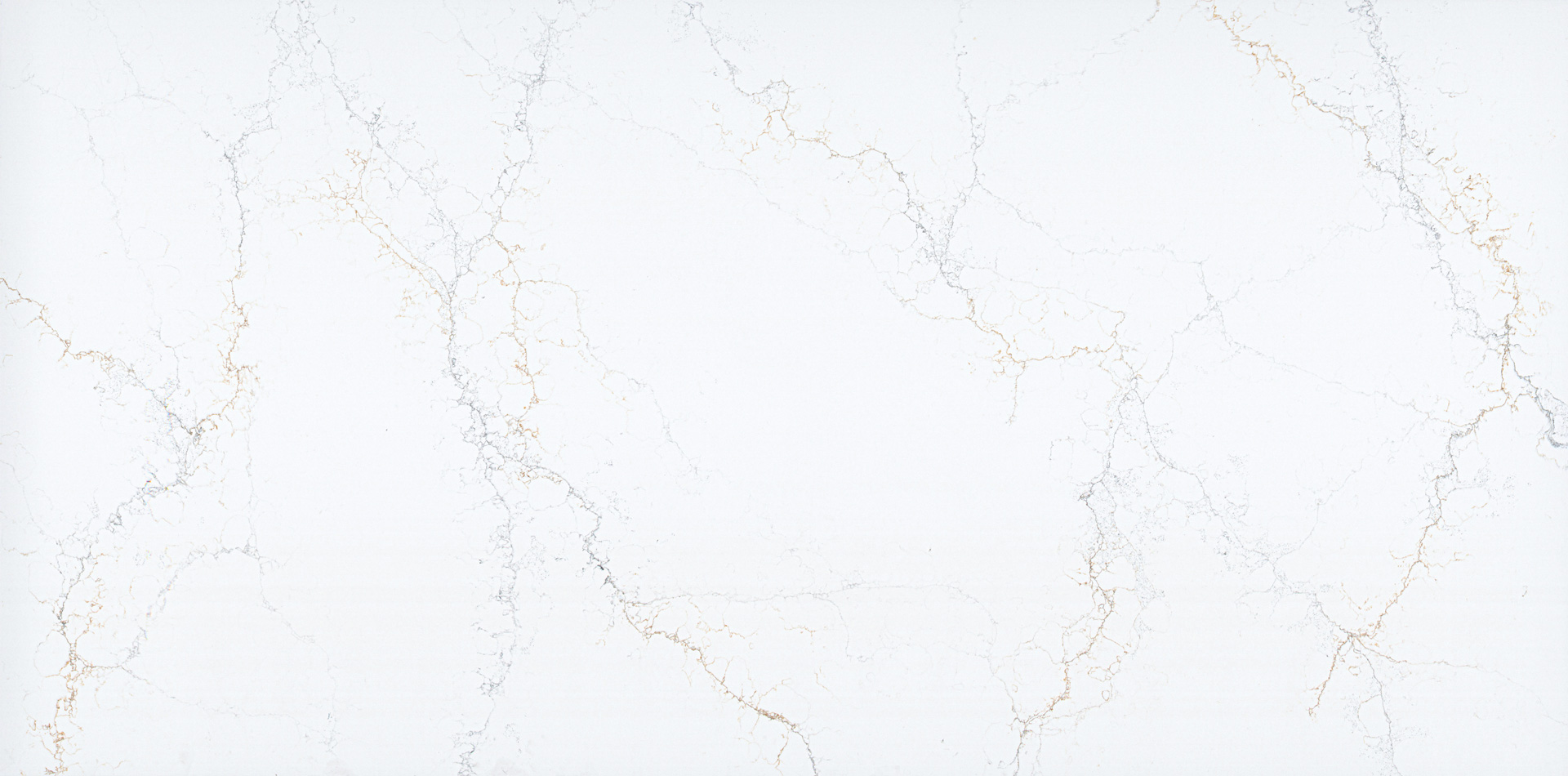 Kanas Snow Gold  ZV7142