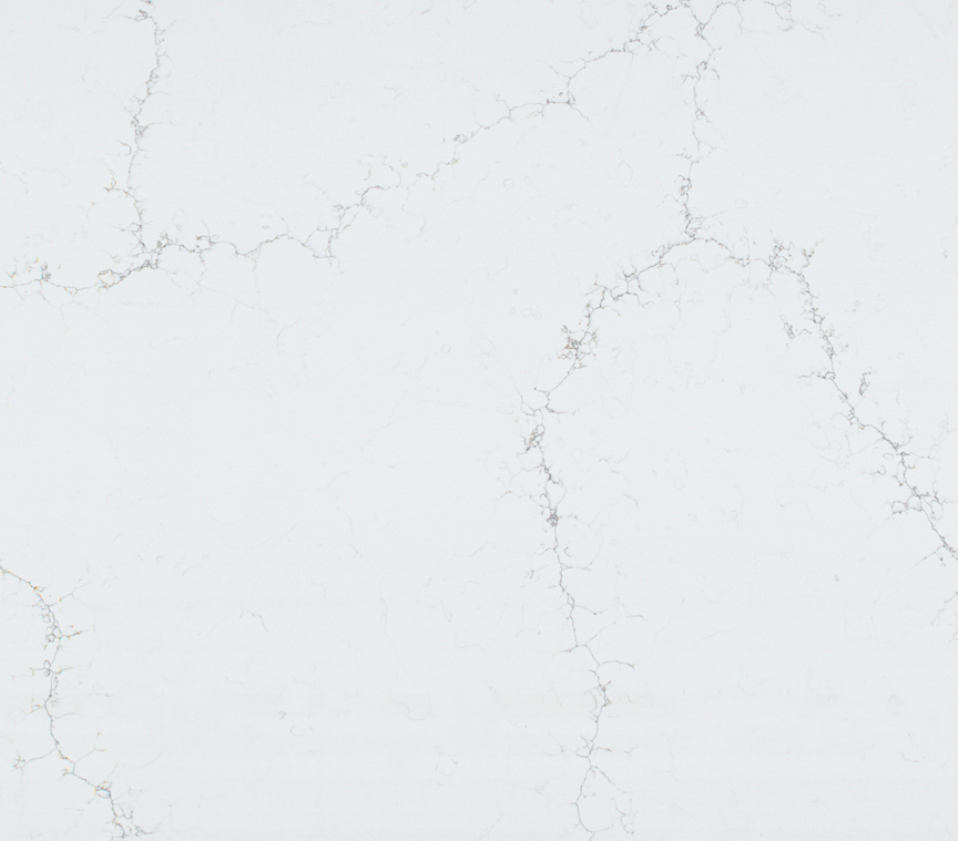 Misty Snow  ZV6199