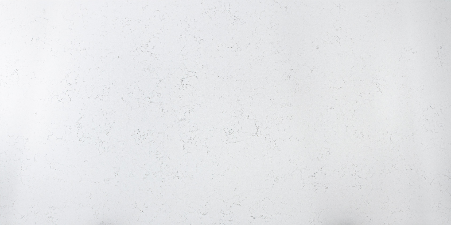 Carrara Mist  ZW5194
