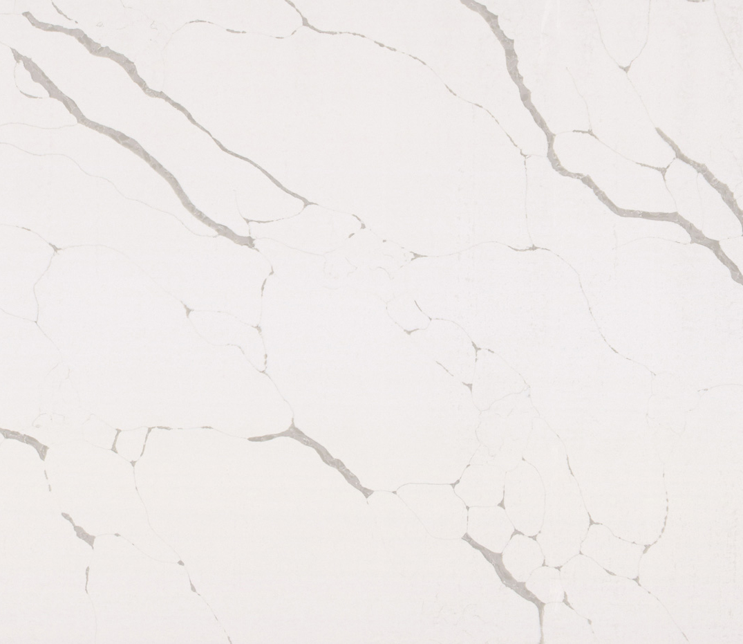 Pine Shade  ZW6147