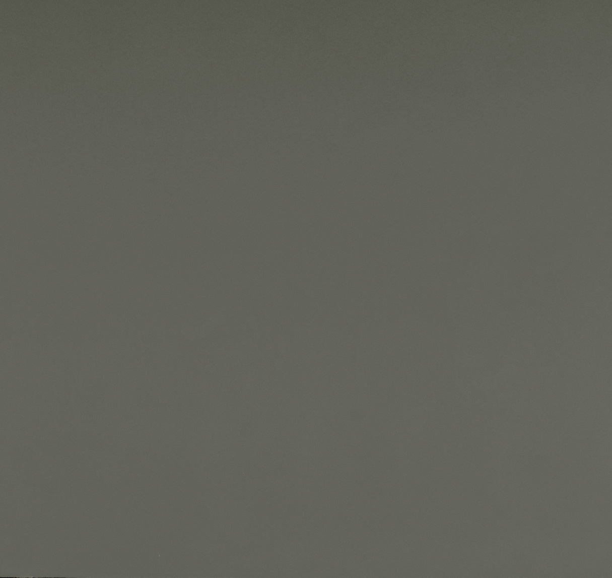 Smoky Ink  ZW2607