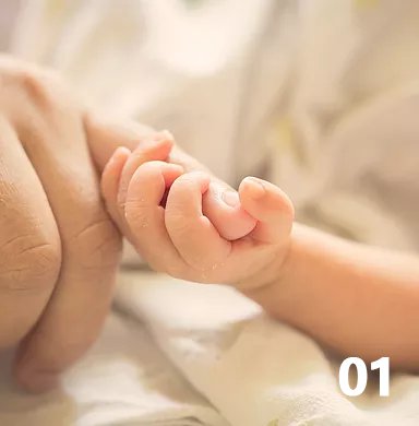 人工授精的过程