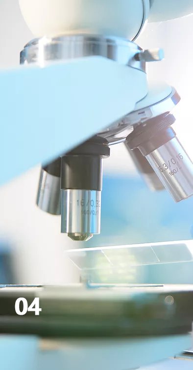 PCR聚合酶链反应