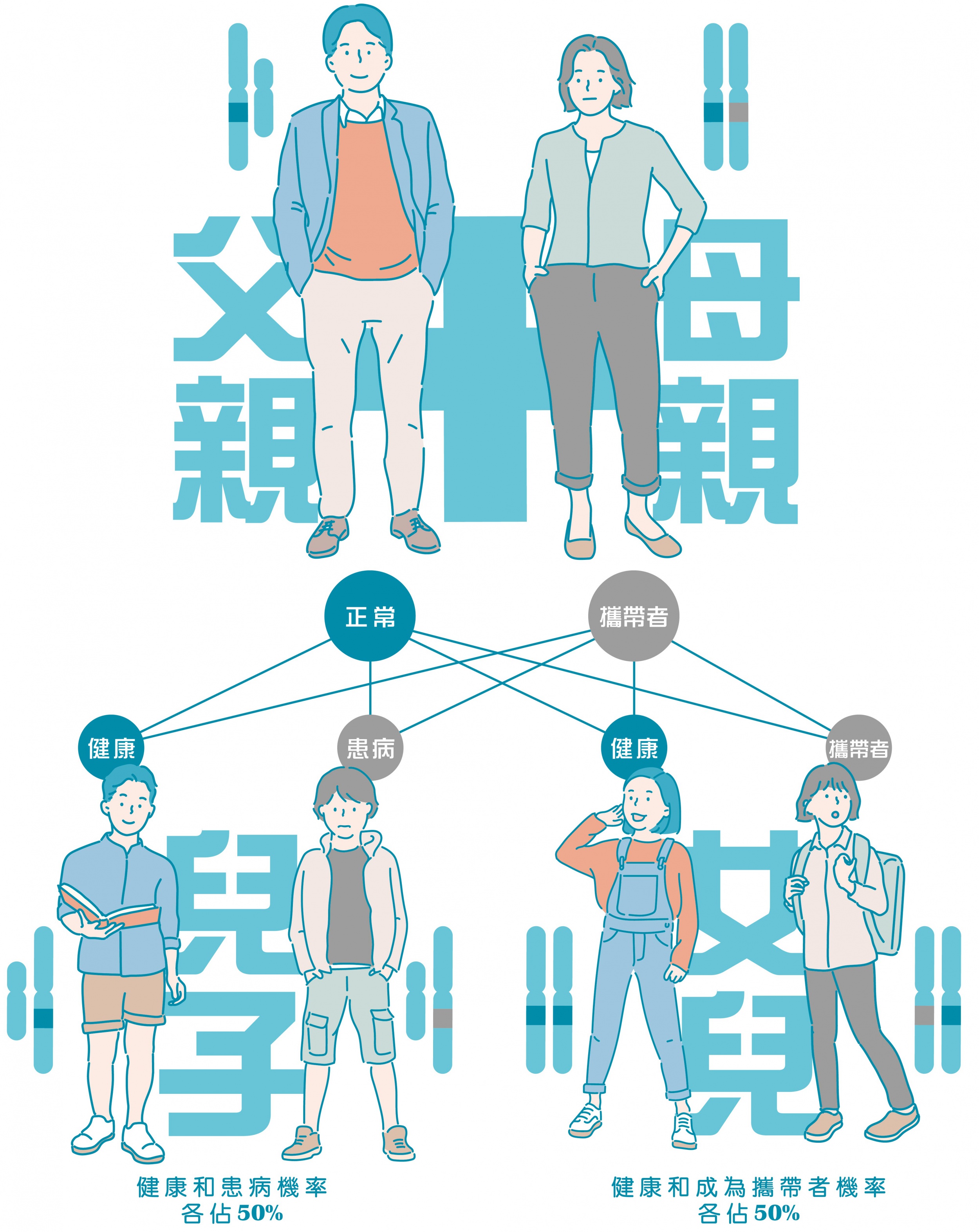 图片展示