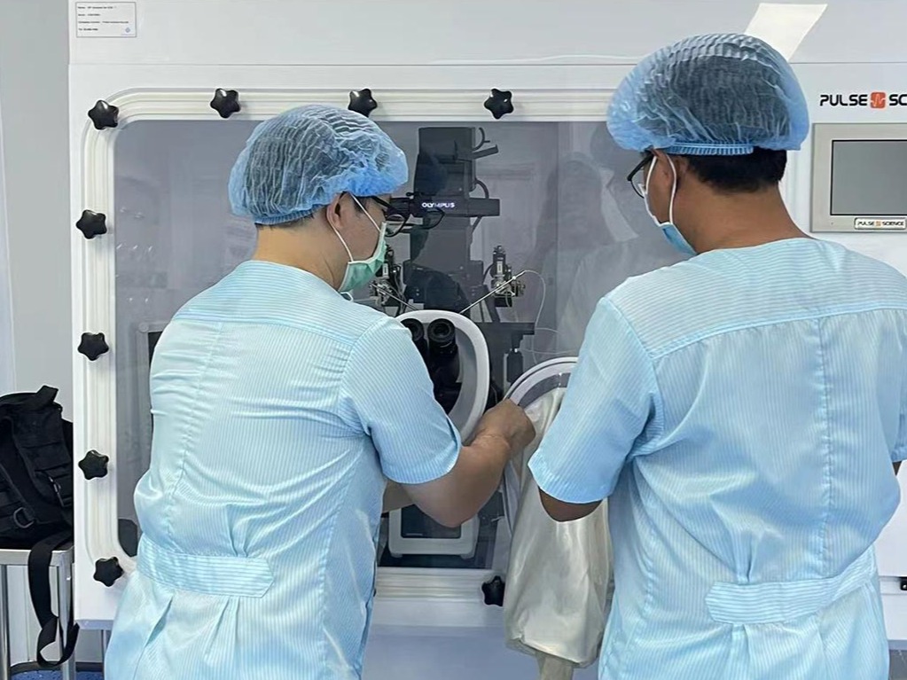 冻卵需要什么条件？冻卵的条件和费用