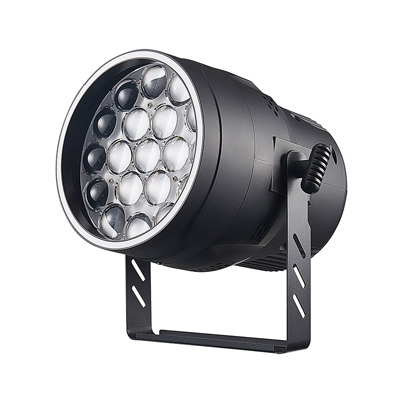 19*15W focusing  dyeing lamps