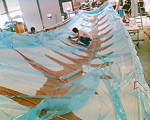 Project Image (3)