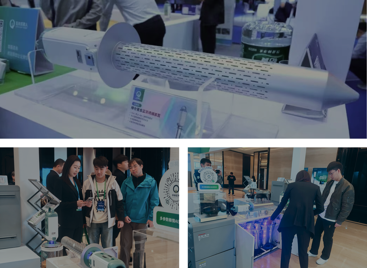 图片展示