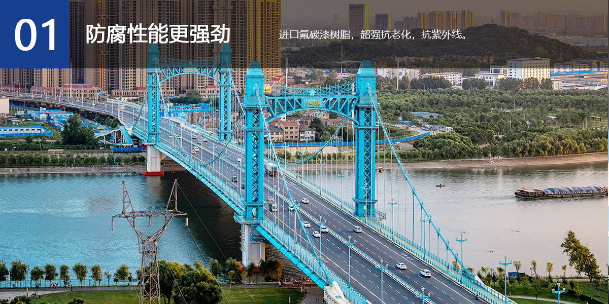 图片展示