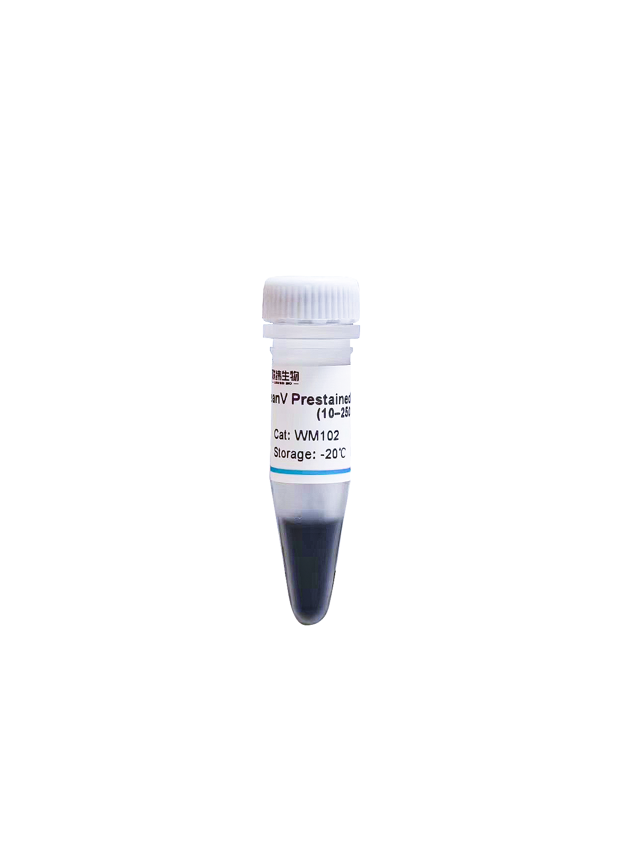 LeanV Prestained Protein Ladder （10–250 kDa）