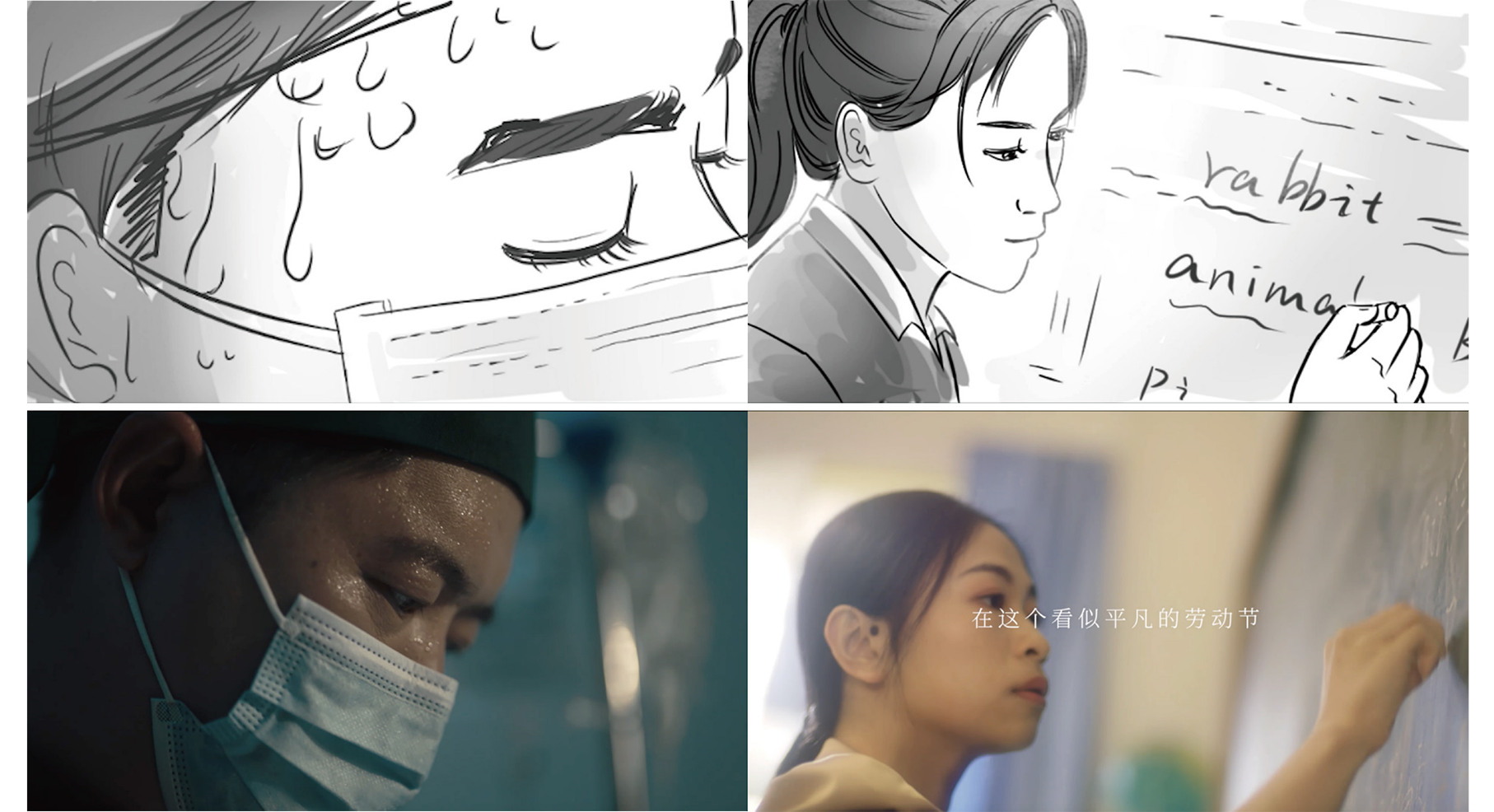 图片展示