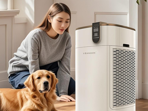 Pet air purifier: helping to create a comfortable pet home!