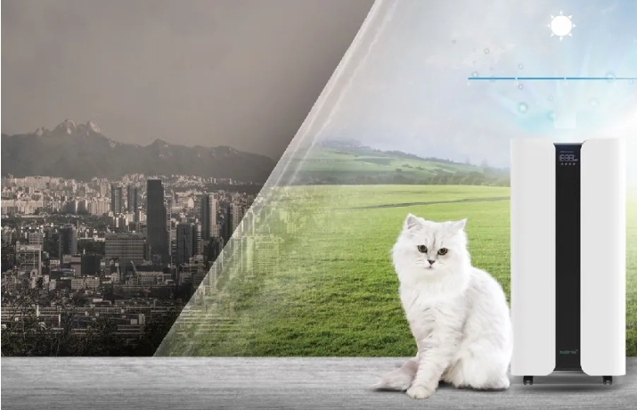 Enterprises should seize market opportunities and see a significant increase in sales of air purifiers in the short term