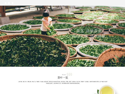 食品、茶饮、养生保健