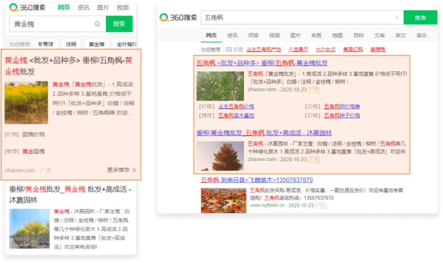 图片展示