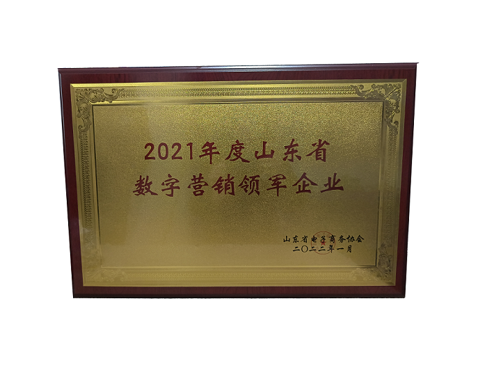 数字营销领军企业