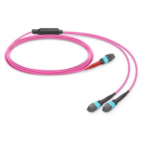 MTP®/MPO Breakout Cable, MTP®-12 APC (Female) to 2 x MTP®-4 APC (Female)