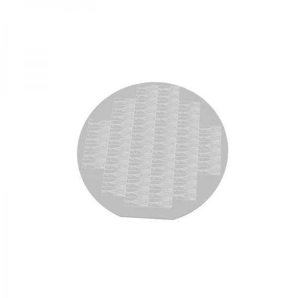 Wave guide chip