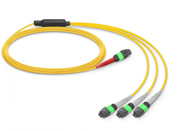  MTP®/MPO-24 APC  to 3 x MTP®/MPO-8 APC 
